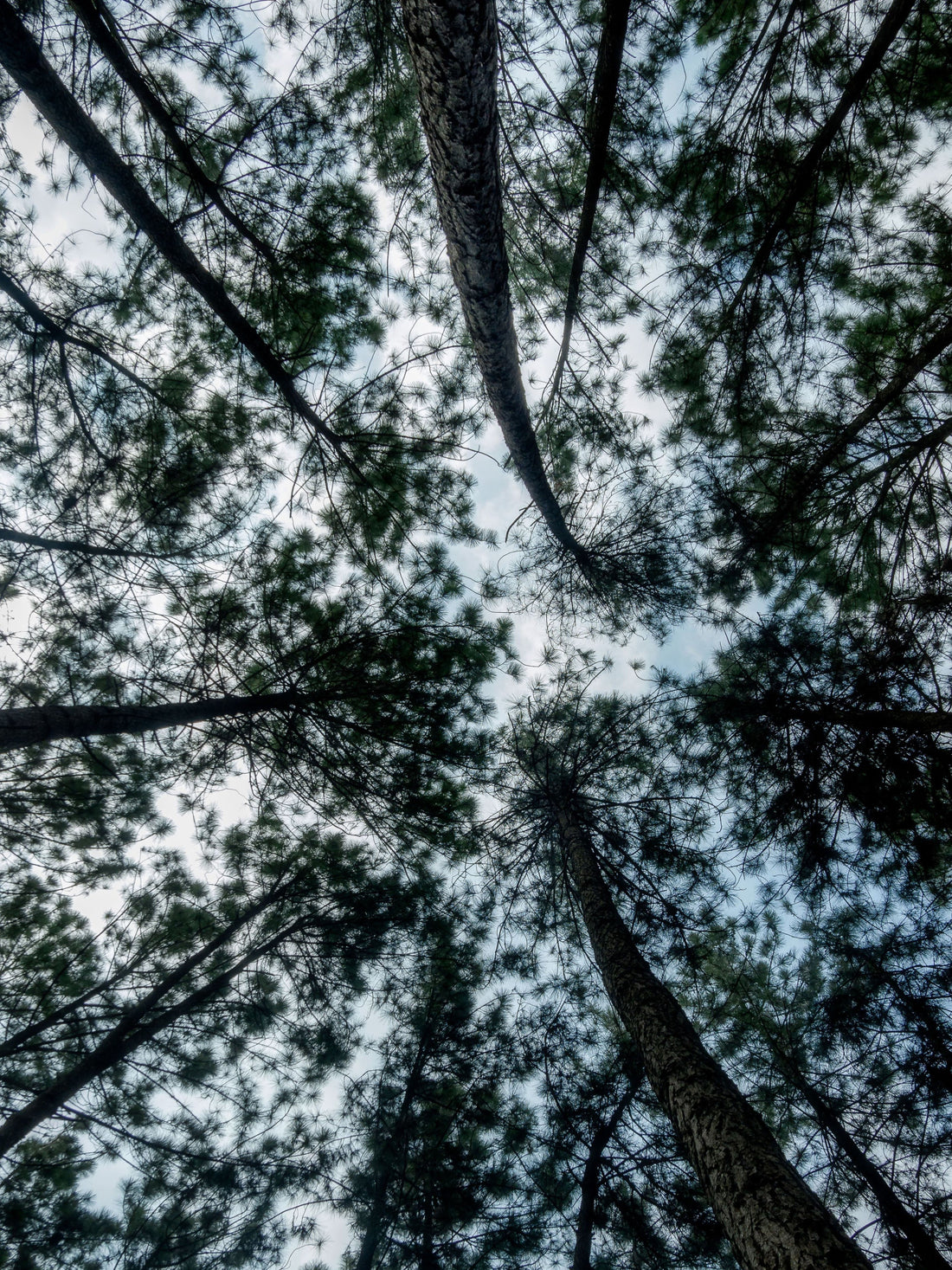 Thai Massage vs Aromatherapy: Which One Is Right for You?