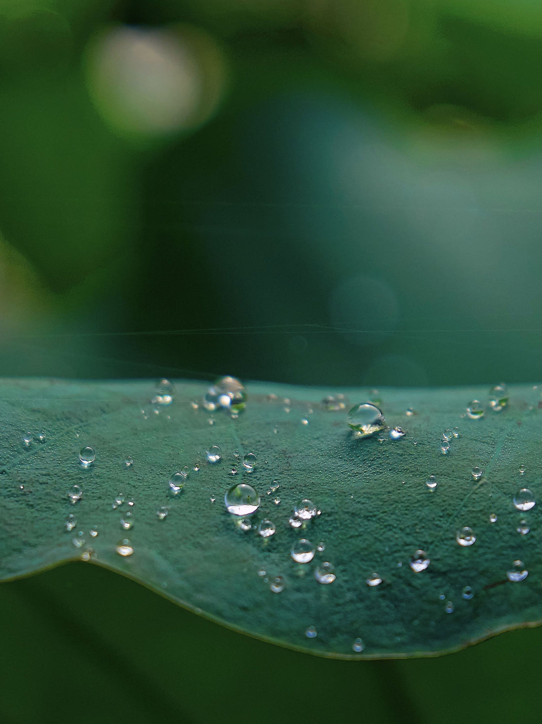 A Guide to Our Most Popular Body Treatments: The Right Pressure for You